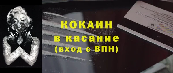 индика Каменногорск